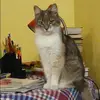 Отзыв от Кристина Масленникова